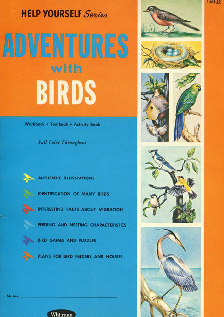 adventures-birds