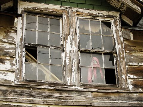 Skeleton Window - (c) Candice Ransom